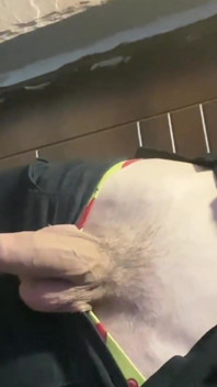 Tommy Went to the Store for Food, When He Comes Back He Will Fuck Hans
