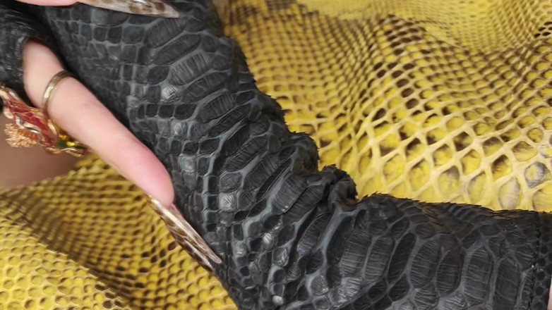 Princess18_: My Extra Long Snakeskin Nails Fuck Your Mind