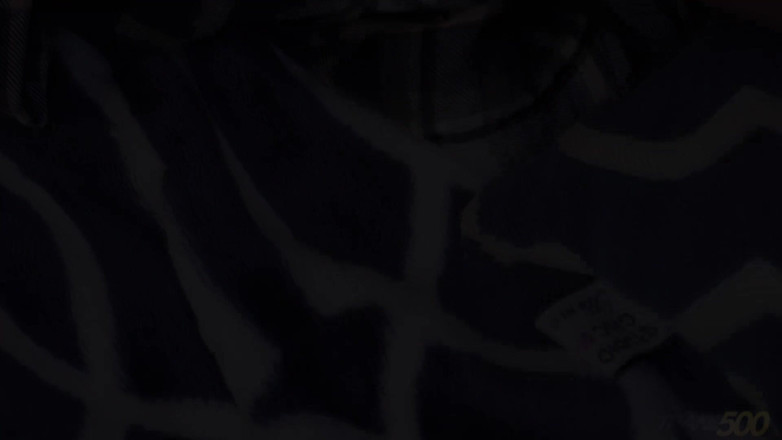 Trans 500: Domino dělá věci online