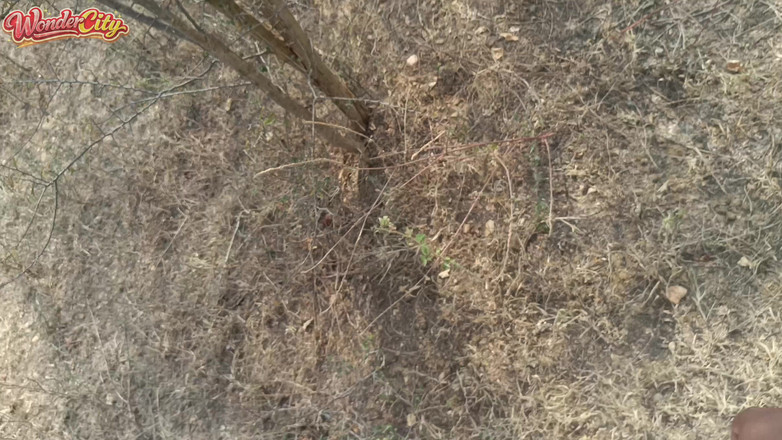 Pushpa studio: 户外丛林中的热奶子