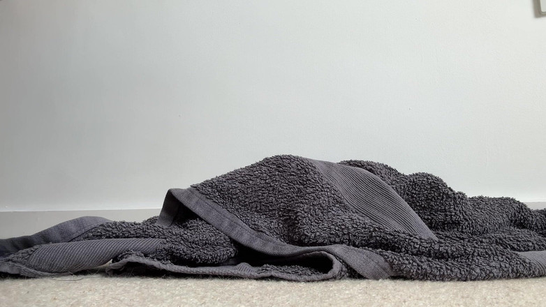 Miss Valentina: Goon sobre minha toalha