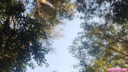 DOTADA.SP: Dance Perverse Park Prancis