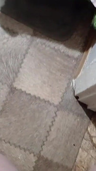 Ev arkadaşlarımı lezbiyen seks yaparken yakaladım