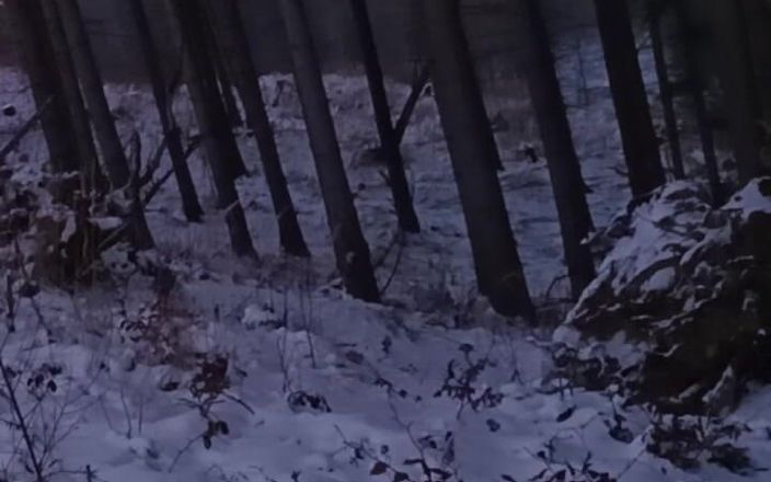 kickerscooter: Nackte Natur im Winter