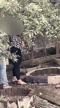 Mangal Padosan in the Jungle with Sister-in-law.