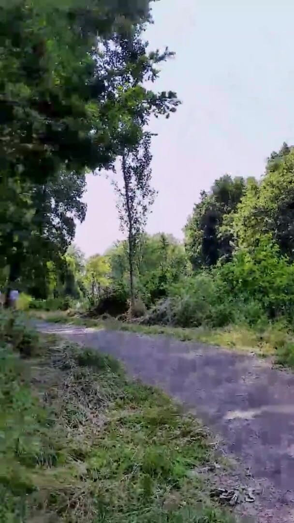 Slutboyben: Slutboyben Cam4 メガセクシー公開露出派豚