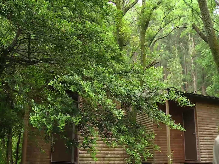 Raptor Inc: Nono mizusawa - seks yang ganas banget