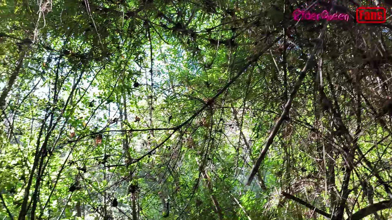 Riderqueen: Petualangan Perjalanan, Video untuk Penggemarku