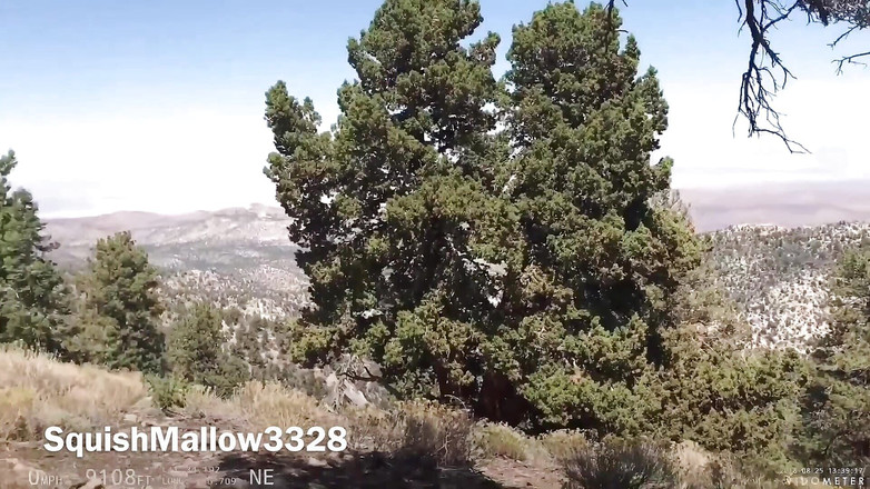 SquishMallow3328: 山の頂上でファックした後、私たちは寝室に直行し、再びファックしました