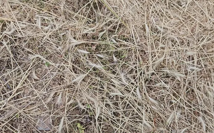 CockyBoy7: Cum in the Fields