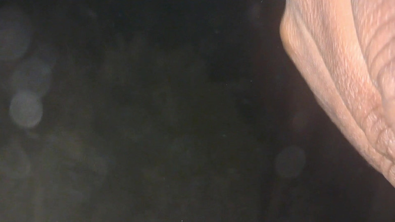 Trilokinath: Роман сватти тетушки с пареньком-йогом - романтическая Телугу