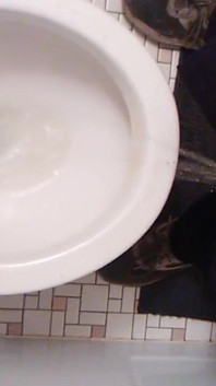 POV Standing up as I Piss