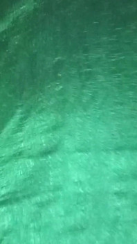 Indický gay crossdresser gaurisissy na sobě zelené sárí XXX a cítí se sexy.