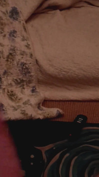 Playing with My Dick Friend on Couch