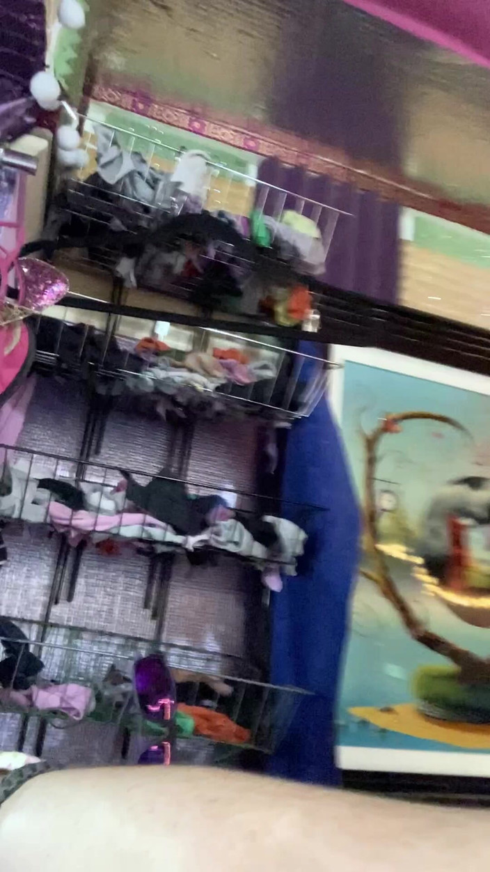 Pissing Paradise: जब आप एक करने की कोशिश करने से हर जगह पेशाब करते हैं, जबकि खड़े हो जाते हैं