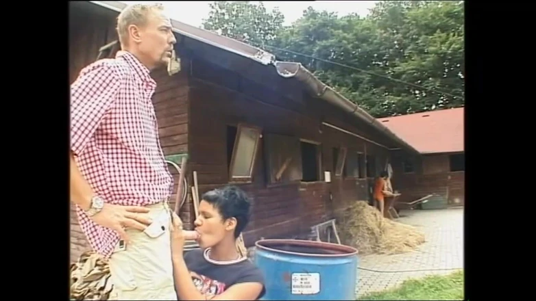 PURZEL TV - our best full movie: Een feest dat goed afliep