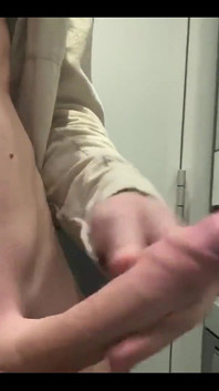 Cumfest in the Train Restroom