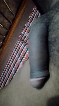 Zakar desi