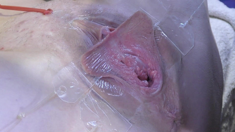 deep keely: 3 Облизывание киски, распространённое далеко от очень близкого