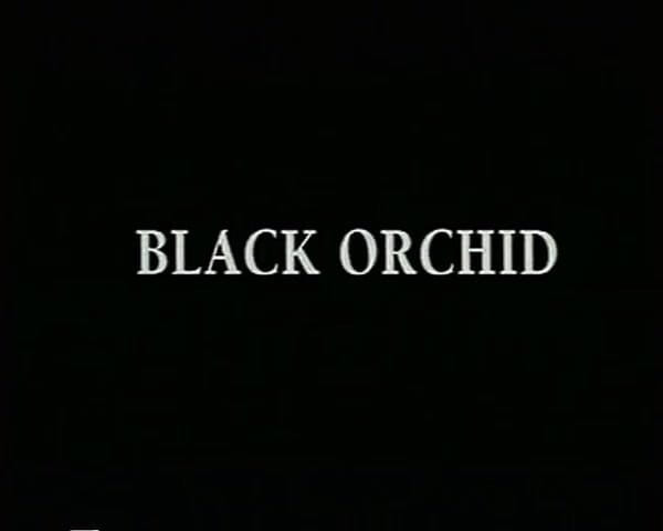 GERMAN PORN CLASSICS: Black Orchid