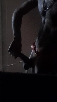 Horny Xmas Deer Started Masturbating