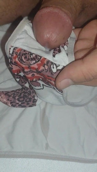 I Ejaculate Into the Panties My Wife Is Going to Wear While She Is in the Bathroom.