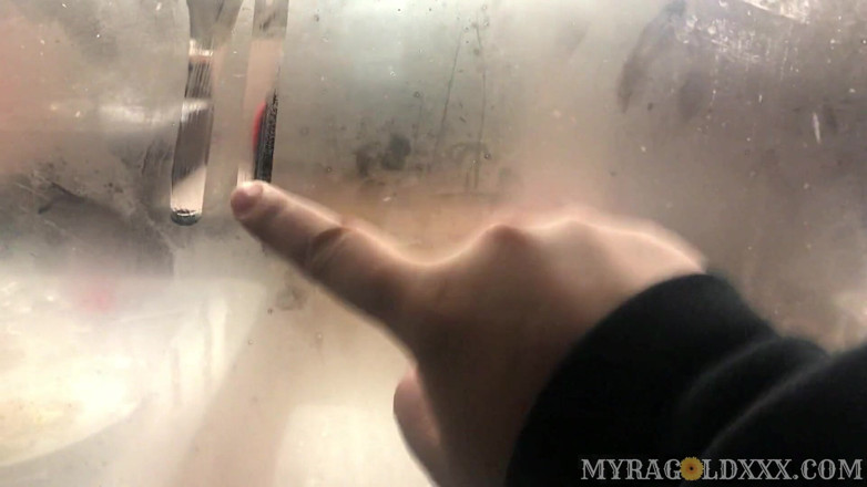 Myra Gold: 单人肛交和屁股戏弄