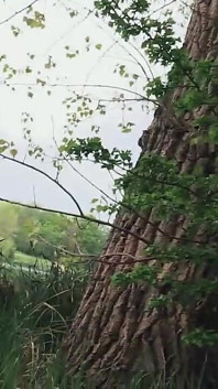 ฉันเจอหนุ่มจนๆ ตอนเขายืนขอรถริมทางข้างรถเสีย
