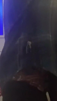 Caught My Granny Care Giver Masturbating so I Helped Him Cum