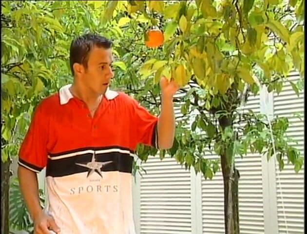 MMV films - The Original: Sahilde seks partisi.
