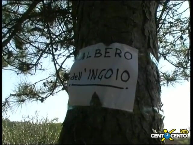 Topaweb: Bebiendo leche de sed Los machos se corren en una...