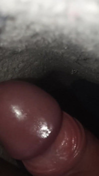 My Hairy Cock