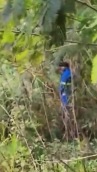 Worker Fucks in the Bush Strangers