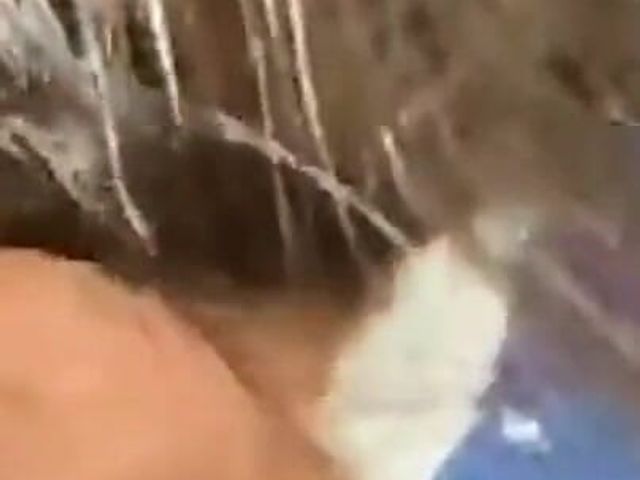 Indian Devar Bhabhi Fuck Public with Desi Boy (Desi Bataliya)