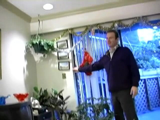 Phoenixxx: Justin içine giriyor