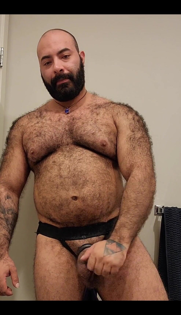 Lobo: Bear Is Here