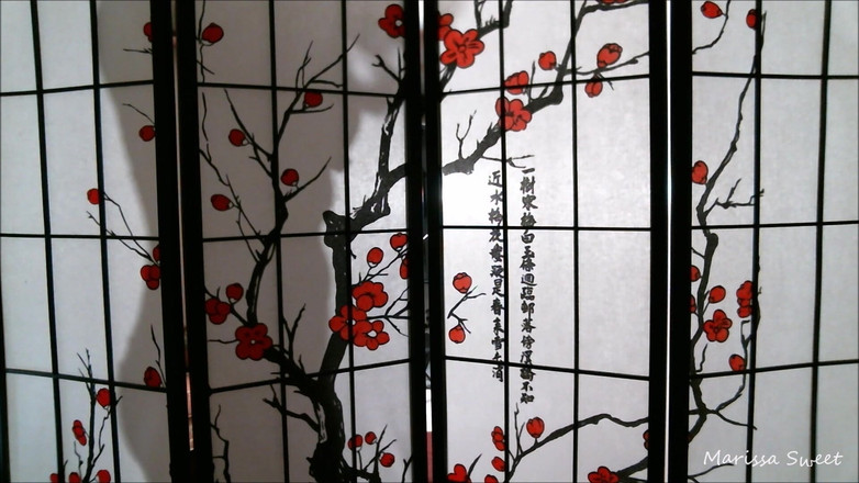 Marissa Sweet: Silhouette tease / домінування м'яча