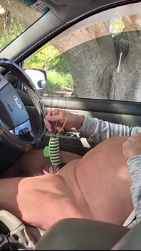 In the Car