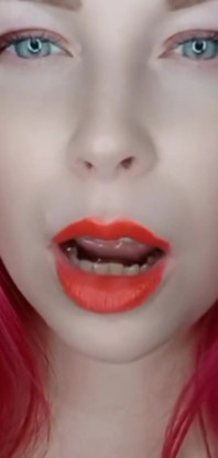 Whitekitten 1