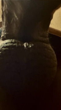 Cms Long Hard Dick
