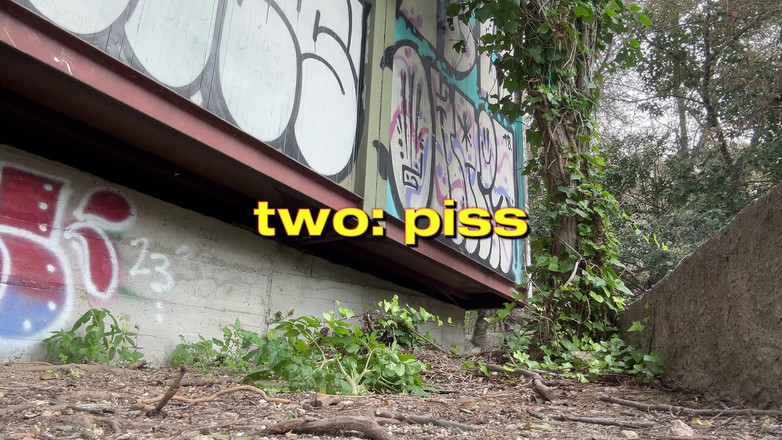 The Bearded Master: Posacenere, piscio e piedi. Maestro barbuto che usa una palla...