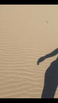 Beach Walk