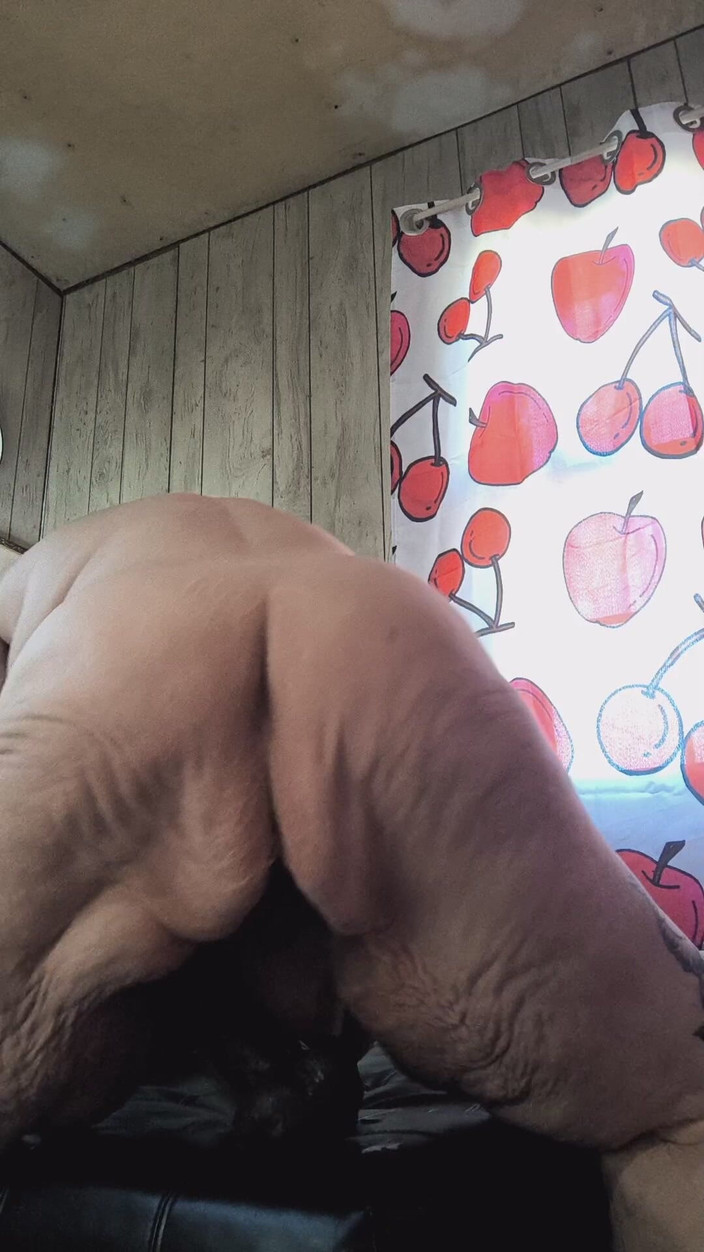 HerculesnVENUS: Трахання з ділдо на тату з подушкою puffin