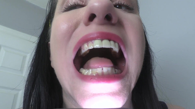 Quinn brooks: Mouth Tour Update