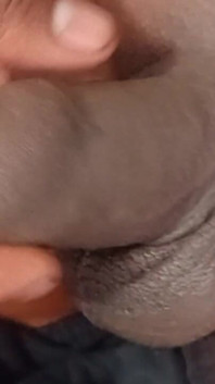 Solo M