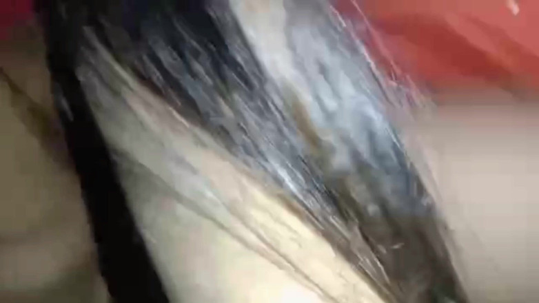 Sabina244: Ny desi indisk styvson knullas av kåta moster tight fitta