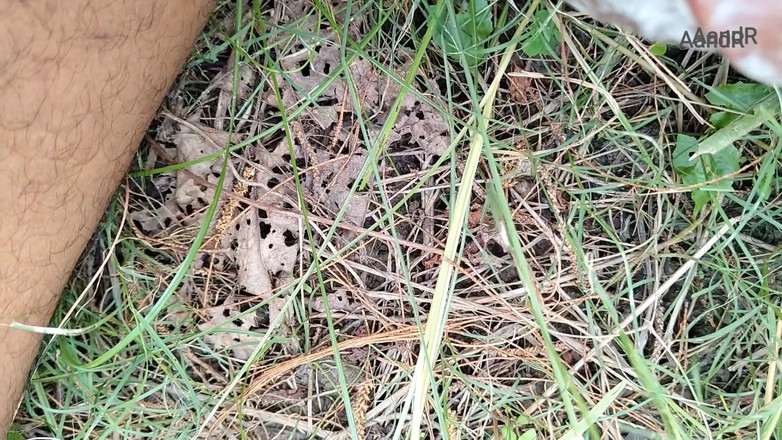 AnR: Thủ dâm pt2 thỏa mãn cực khoái cậu bé Ấn Độ thủ...