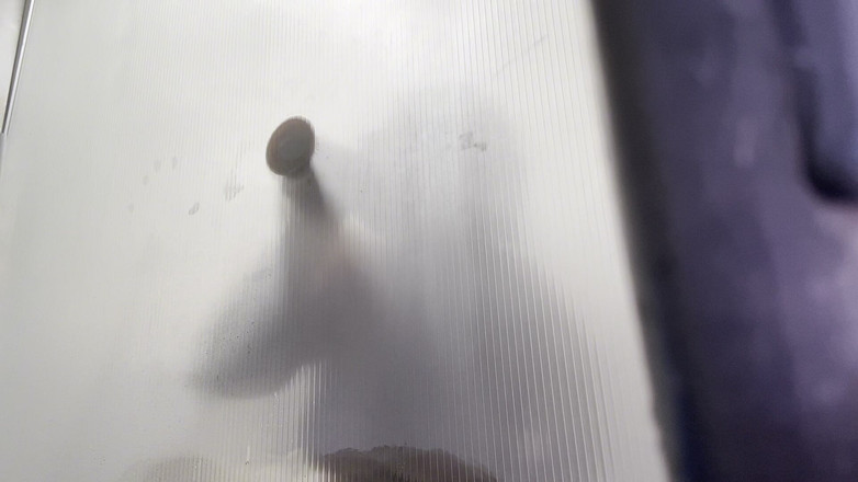 DWHOREKIN: Matte Kakak Ipar Anda Di Bilik Mandi