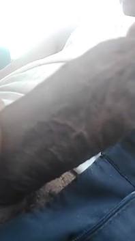 Big Cock Any Female Want