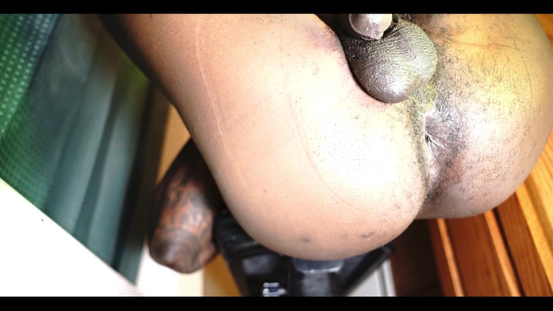 Hallelujah Johnson: POV černý zadek